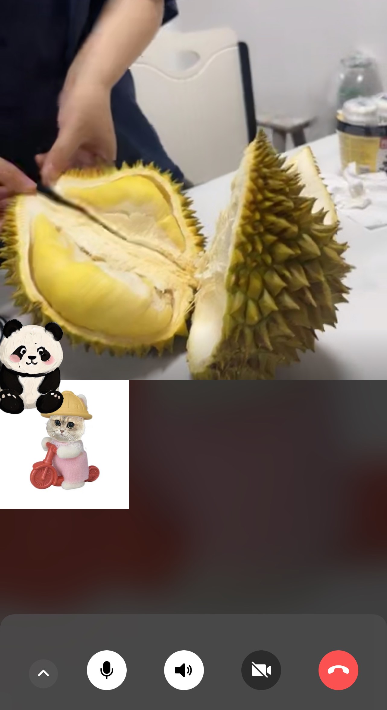 榴莲视频下载-榴莲视频下载,下载
