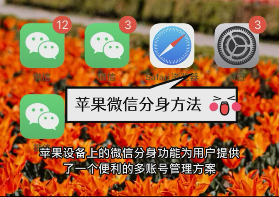 微信分身版ios下载-微信分身版ios下载东坡下载